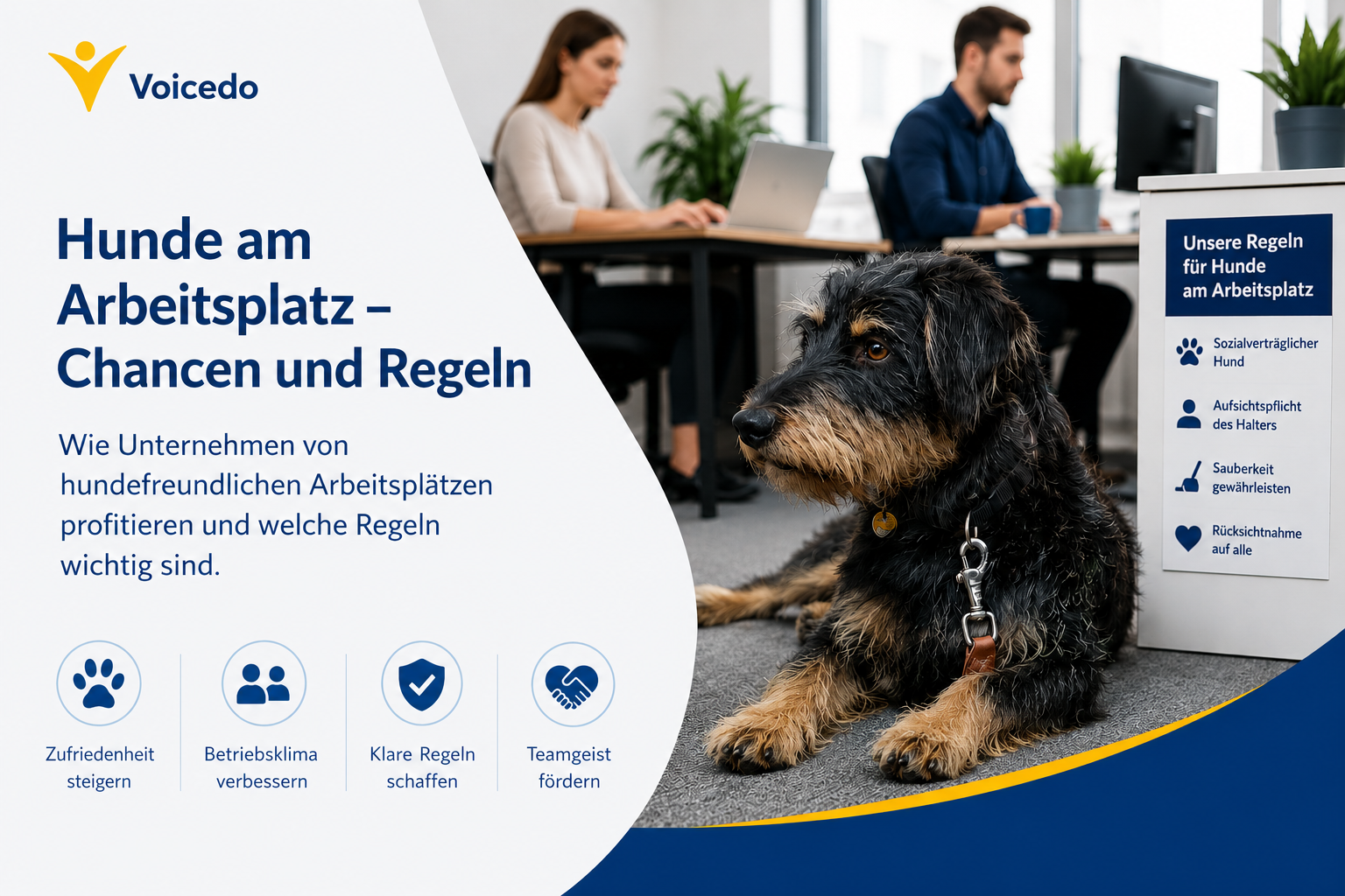 Hunde am Arbeitsplatz – Vorteile und Regeln für Unternehmen