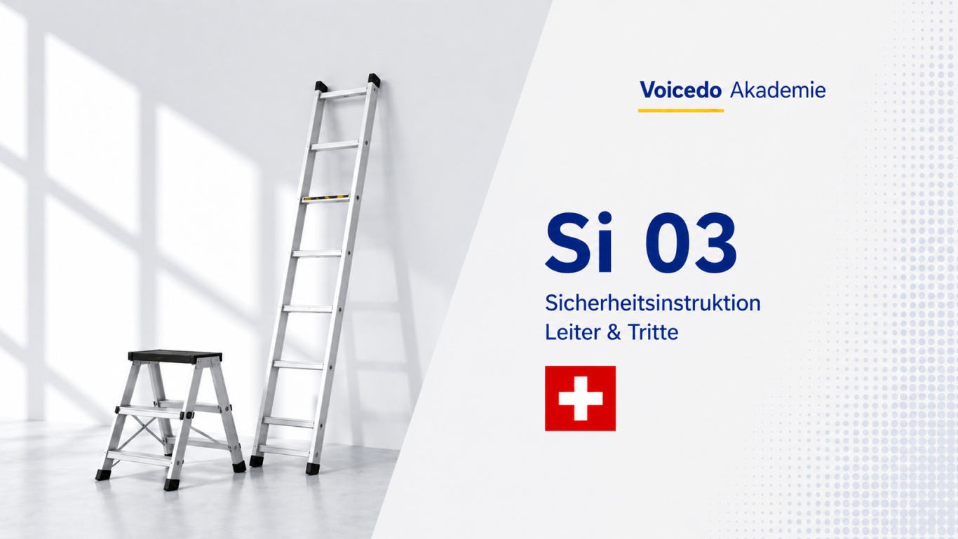 Sicherheitsinstruktion Tritte & Leitern Sicherheitsinstruktion Tritte und Leitern